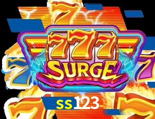 VIP Casino ss123